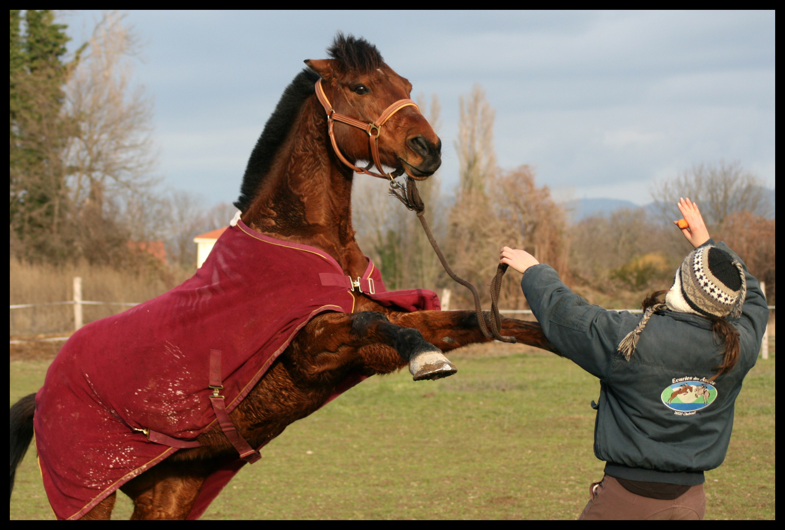 Debout Poney