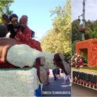 Debrecen_Blumenjkarneval