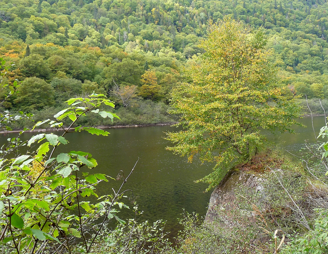 Début d'automne