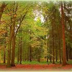 Début d'automne dans la forêt