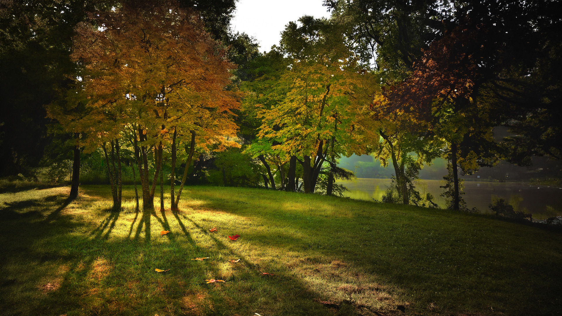 Début d'automne dans la meuse