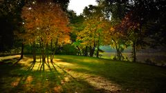 Début d'automne dans la meuse