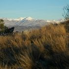 Debut de matinée à greoliere les neiges