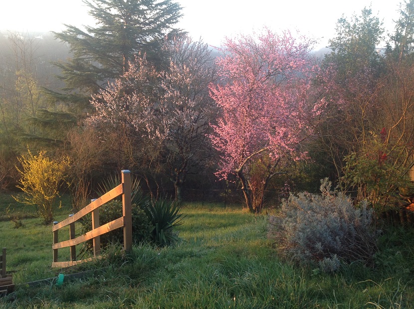 Début de matinée au printemps