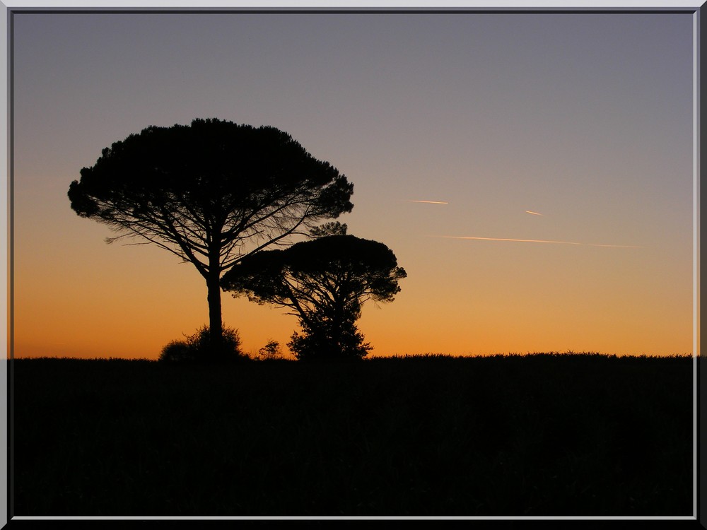 Début de nuit ...