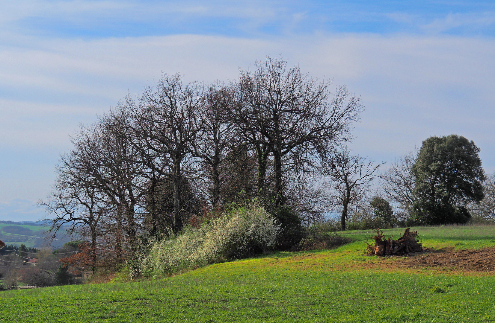 Début de printemps