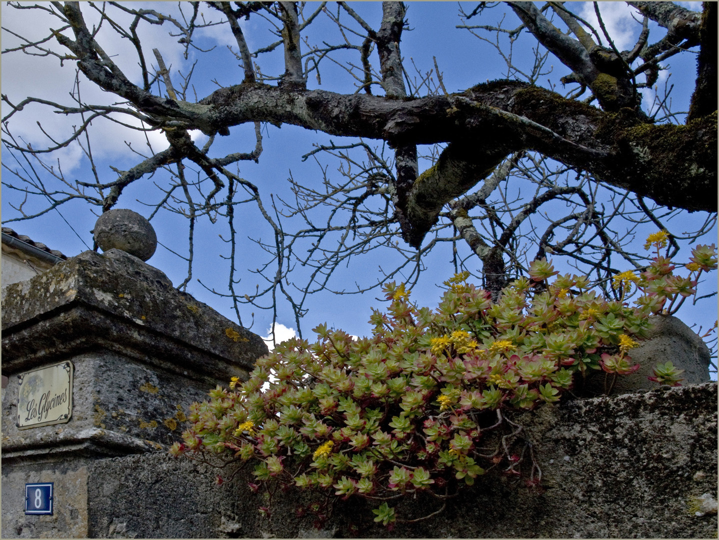 Début de printemps à Caussens  --  Gers