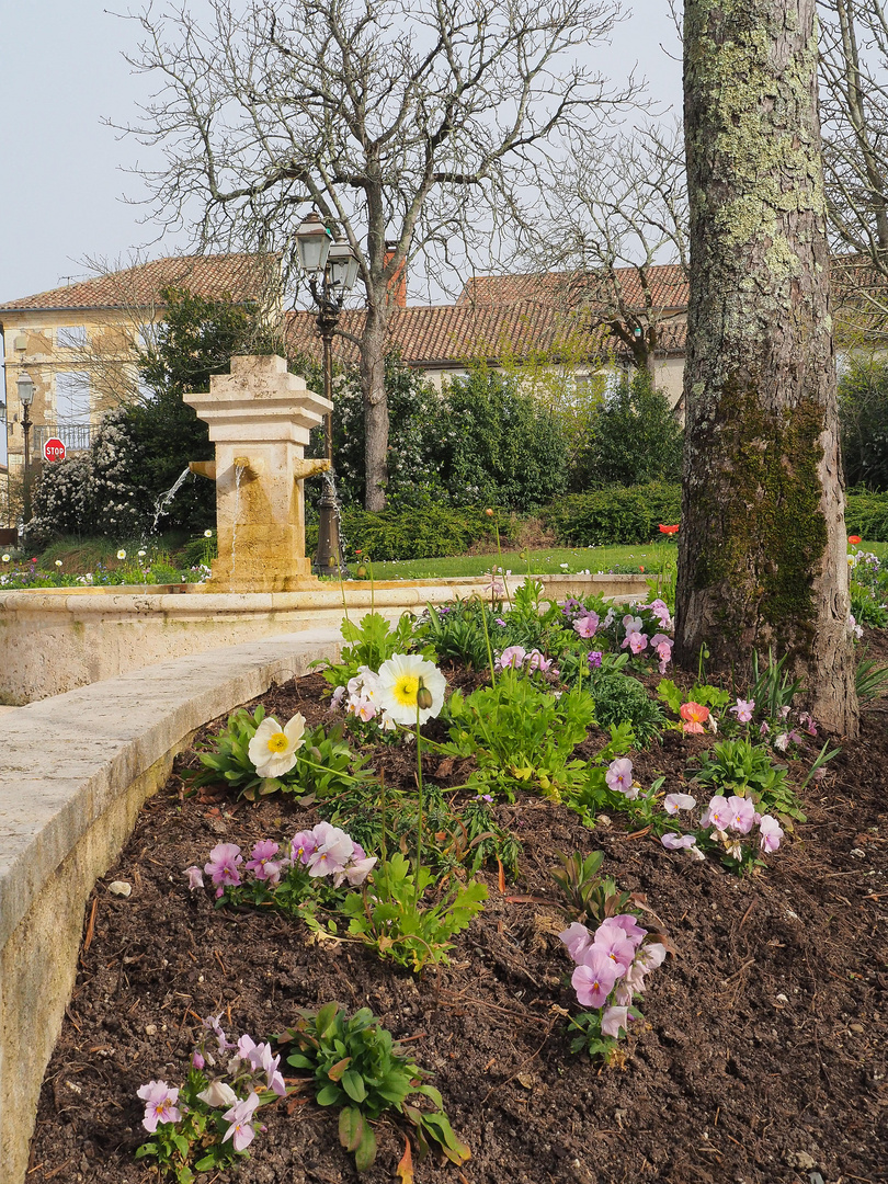 Début de printemps au Cours Gambetta