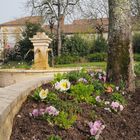 Début de printemps au Cours Gambetta