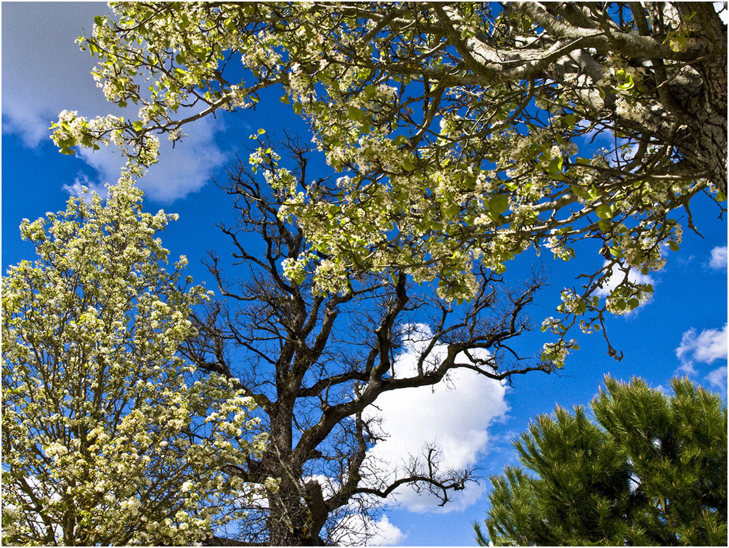 Début de printemps dans le Gers