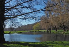 Début de printemps sur l’étang