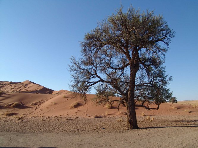 Début du Désert du Namibe