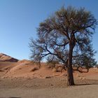 Début du Désert du Namibe