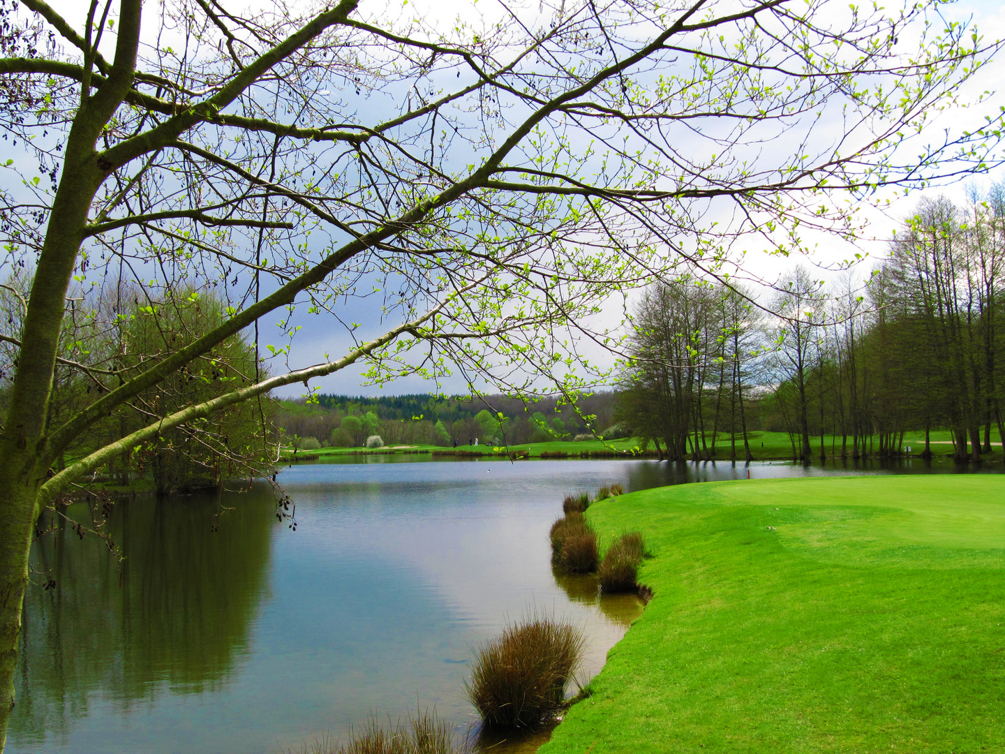 Début du printemps