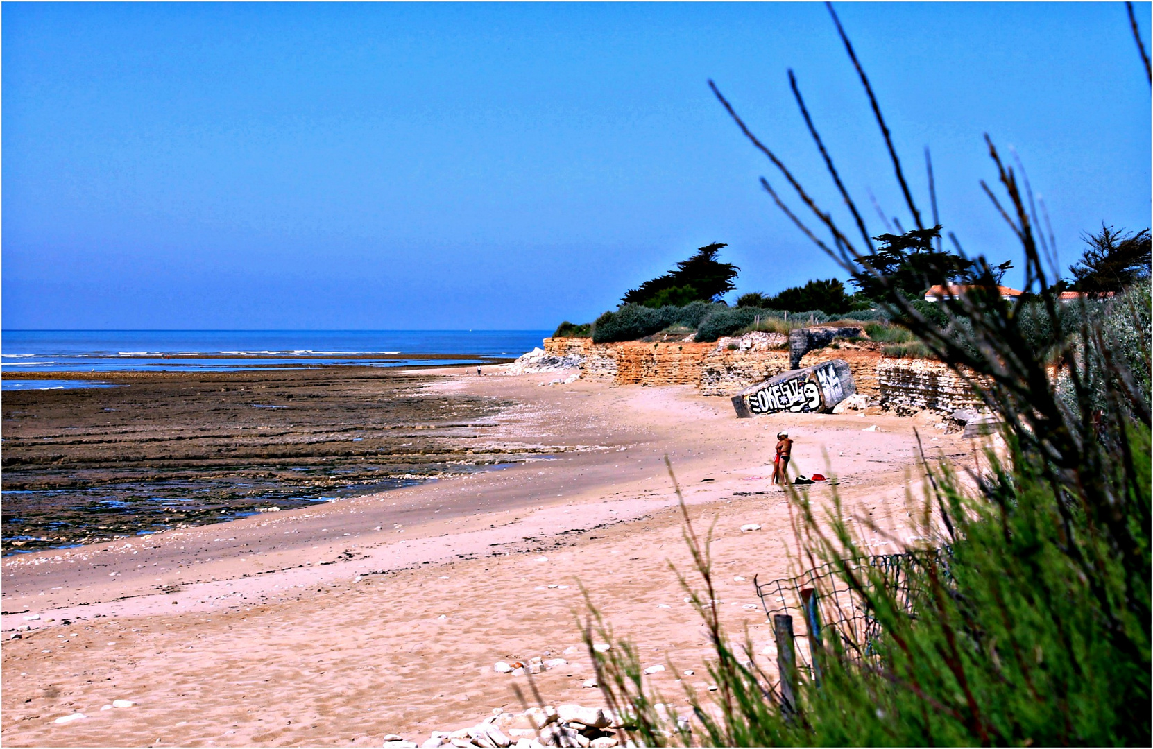 *Début Juillet sur la plage*