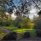 Début novembre au parc de Gauge  