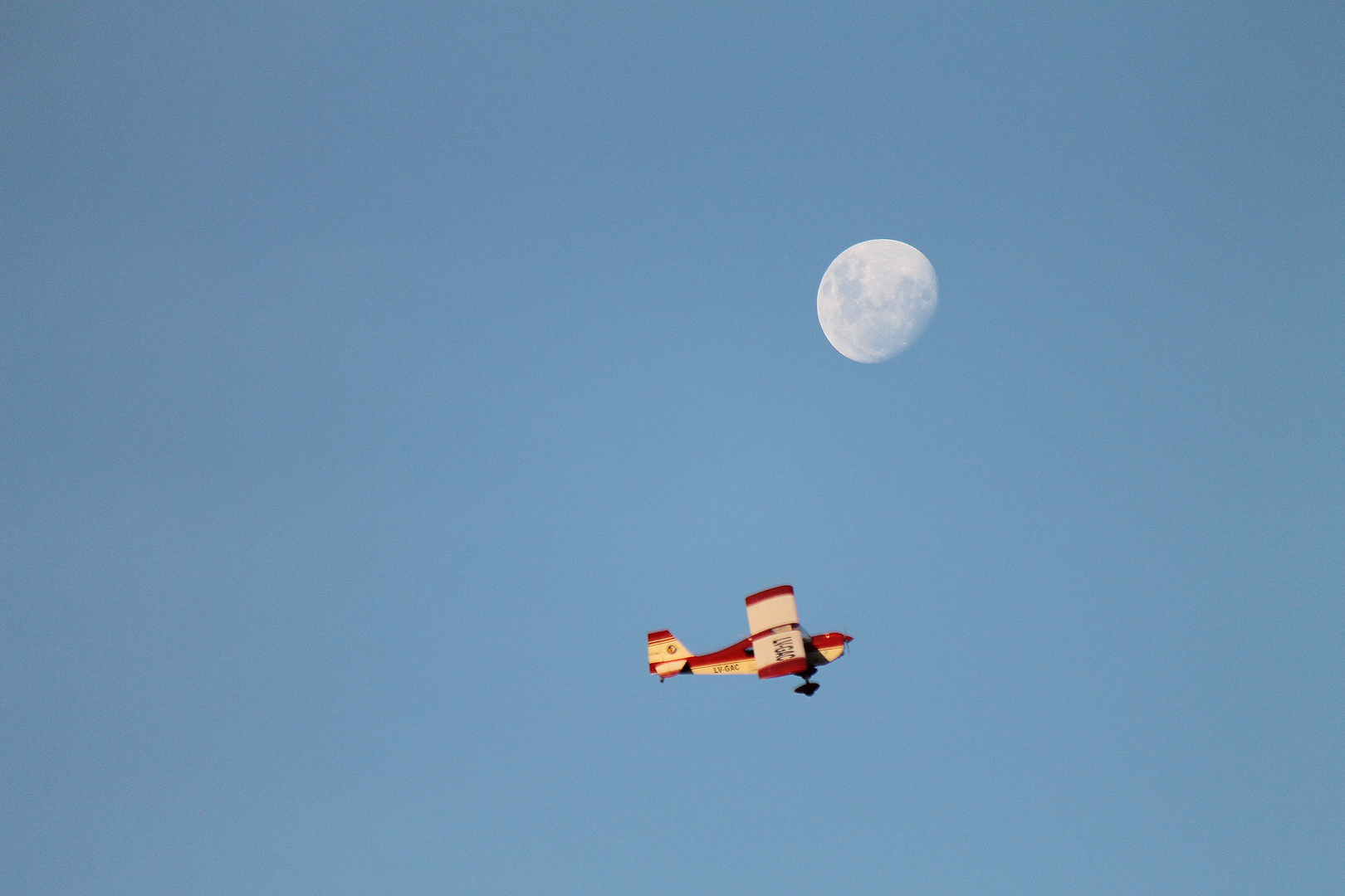 Decathlon Bellanca II