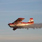 Decathlon Bellanca III