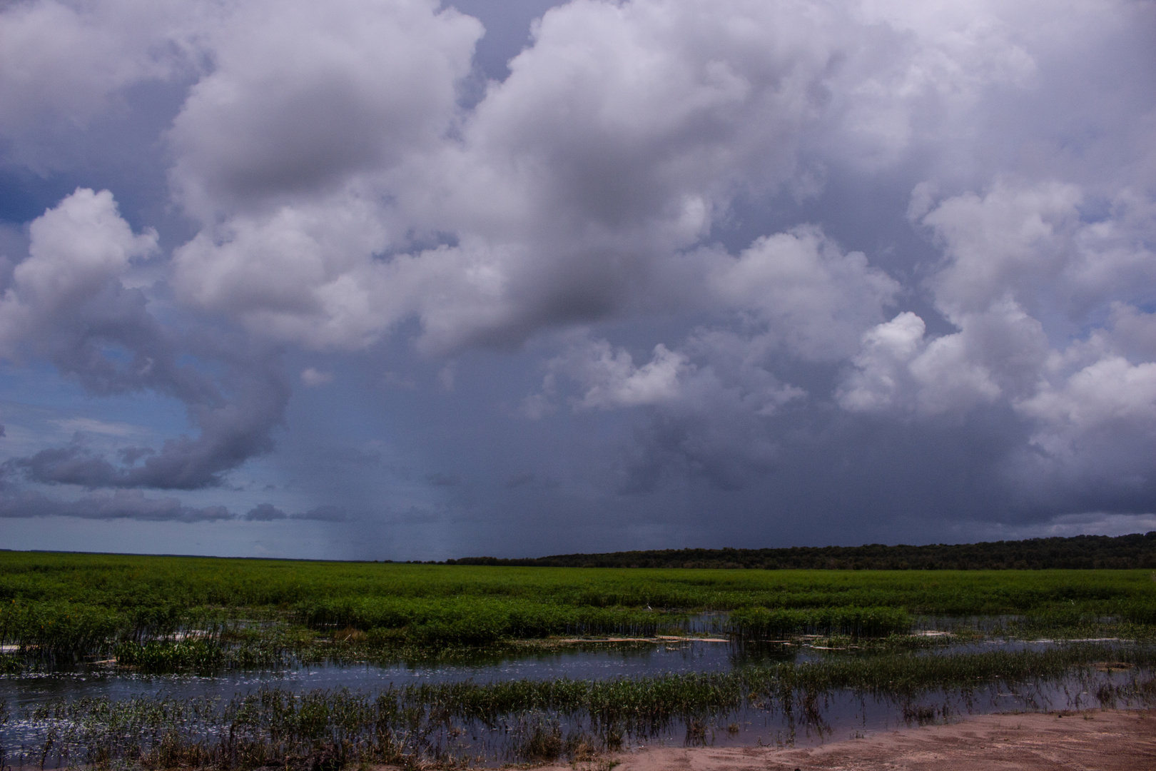 Decaying Storm