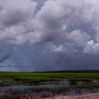 Decaying Storm