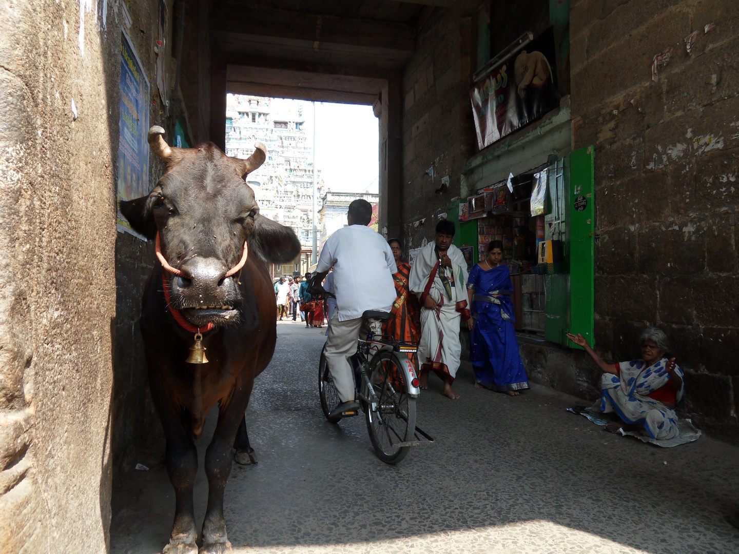 deccan, India, 19