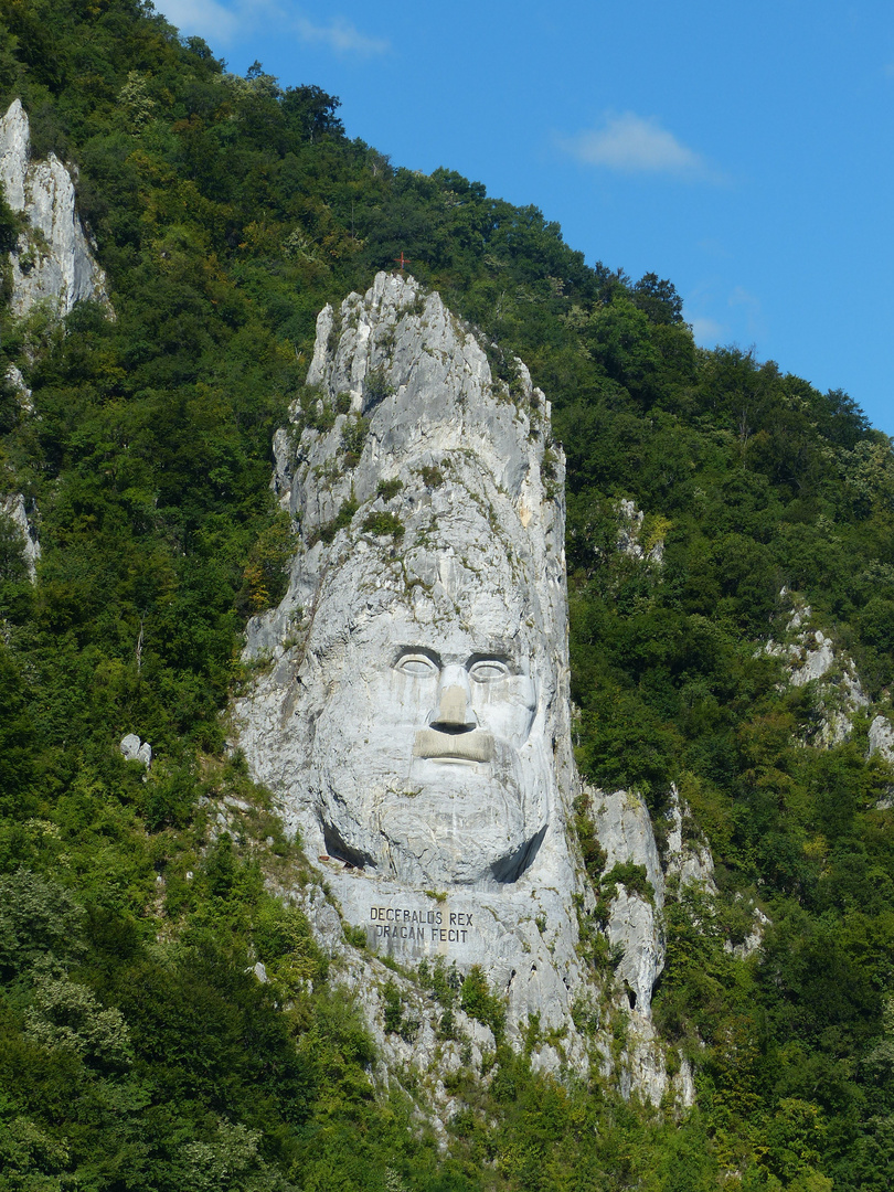 DECEBALUS REX