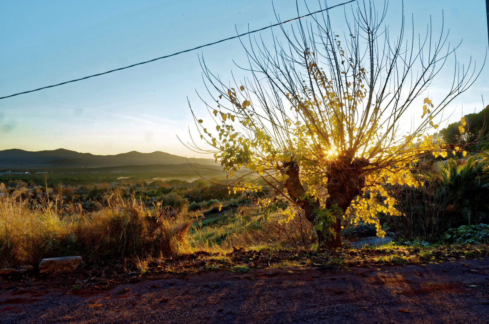 December Evening in the Provence