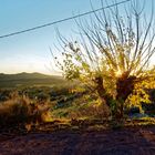 December Evening in the Provence