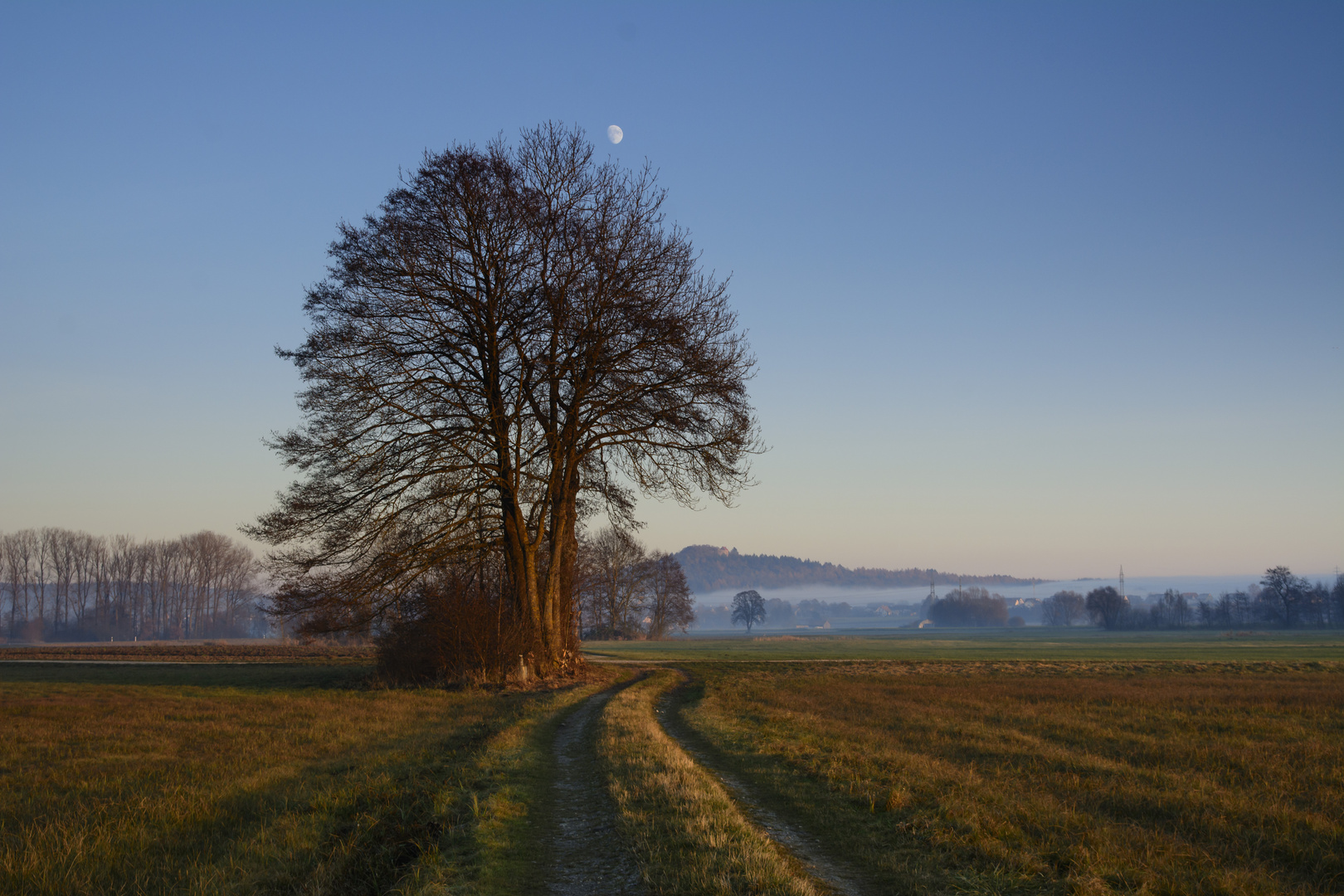 December Light