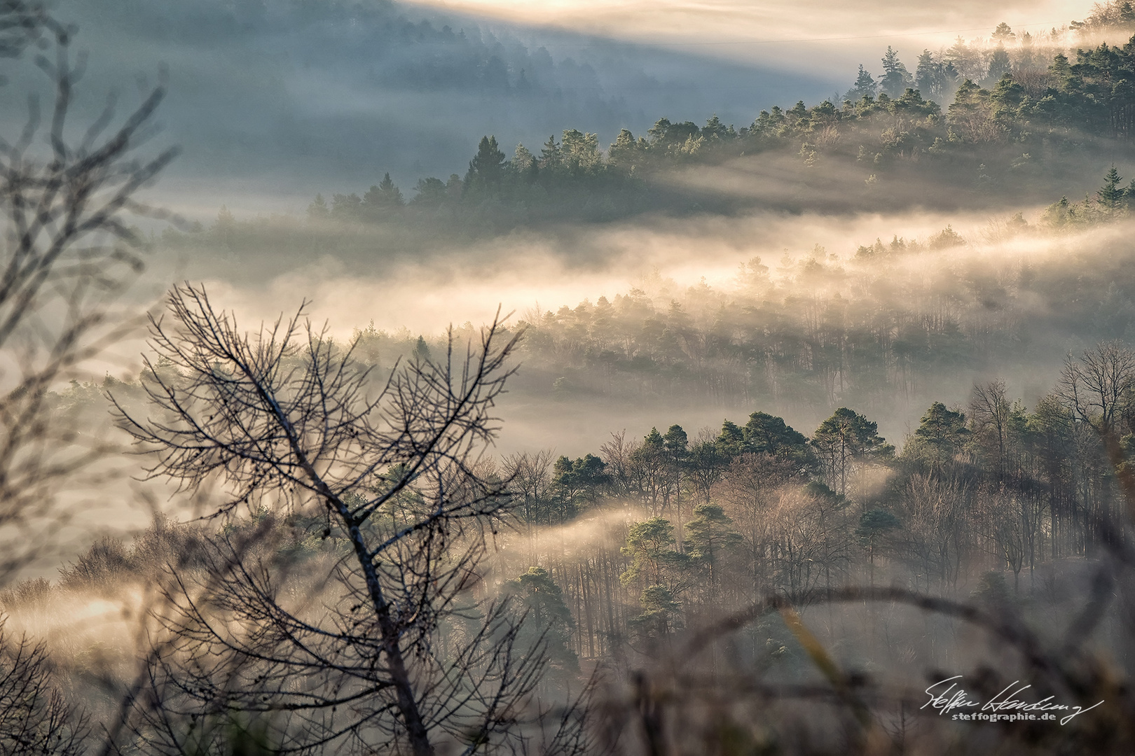 december morning over the palatine forest