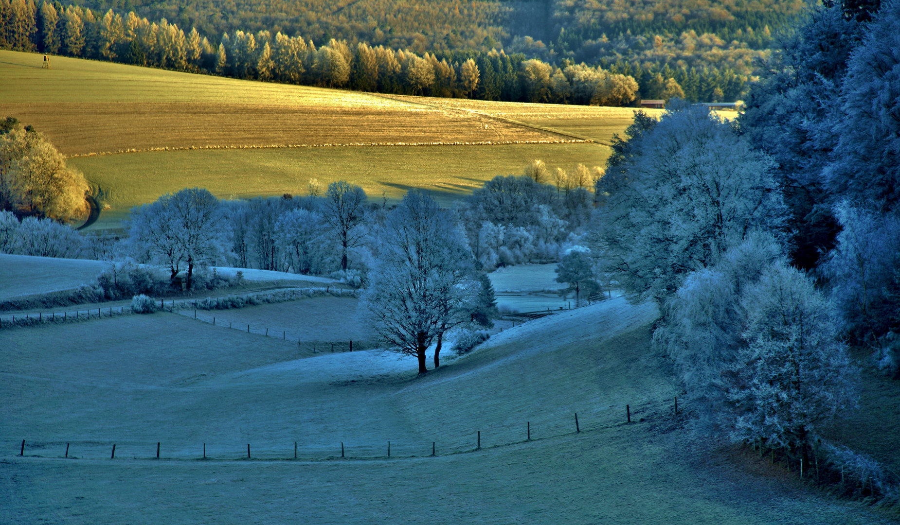 December morning sun....