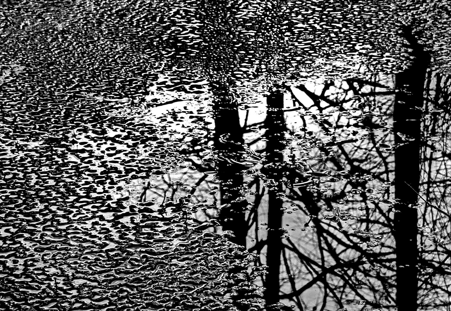 December-Reflections