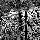 December-Reflections