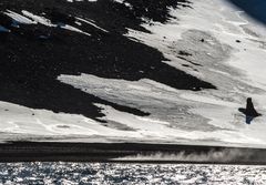 Deception Island   DSC_0576