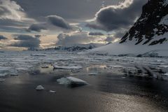 Deception Island  DSC_0595