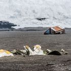 Deception Island - Last Place - Lost Place