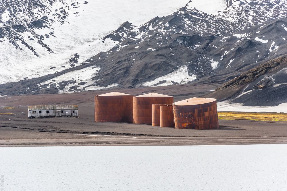 Deception Island - Last Place - Lost Place - Blick vom Wasser