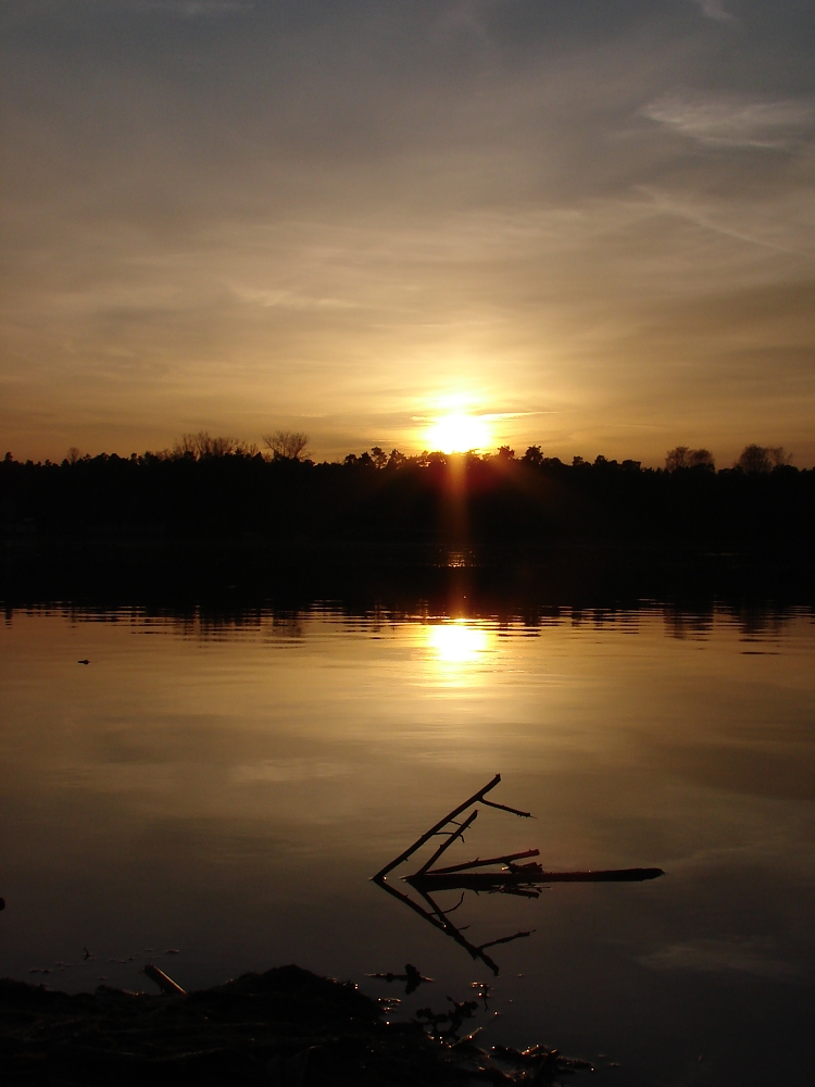 Dechsendorfer Weiher #1