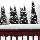 Deck In Winter