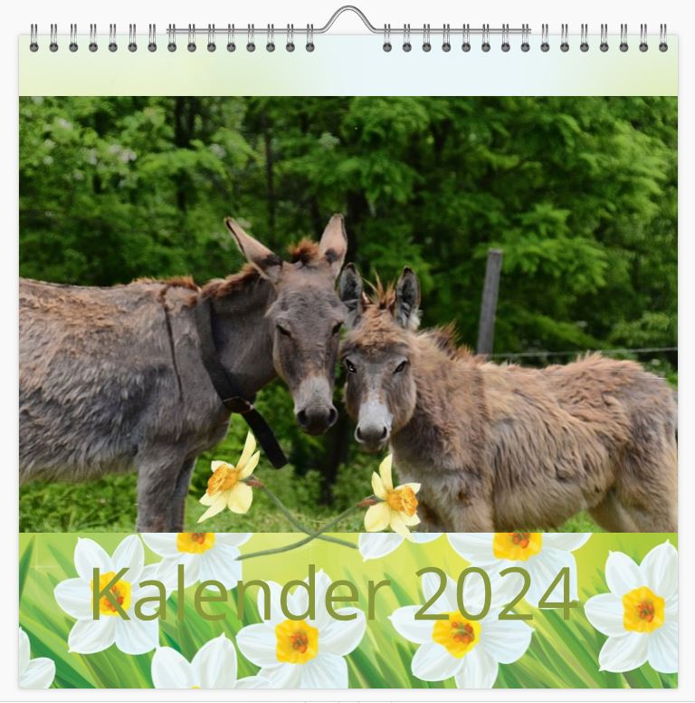 Deckblatt Kalender 2024