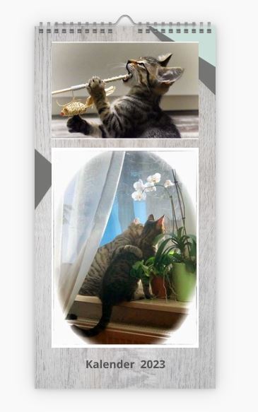  Deckblatt vom Katzen-Kalender