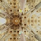 Decke der Sagrada Familia