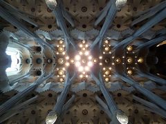 Deckengewölbe der Sagrada Familia