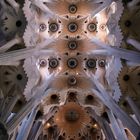 Deckengewölbe der Sagrada Familia in Barcelona