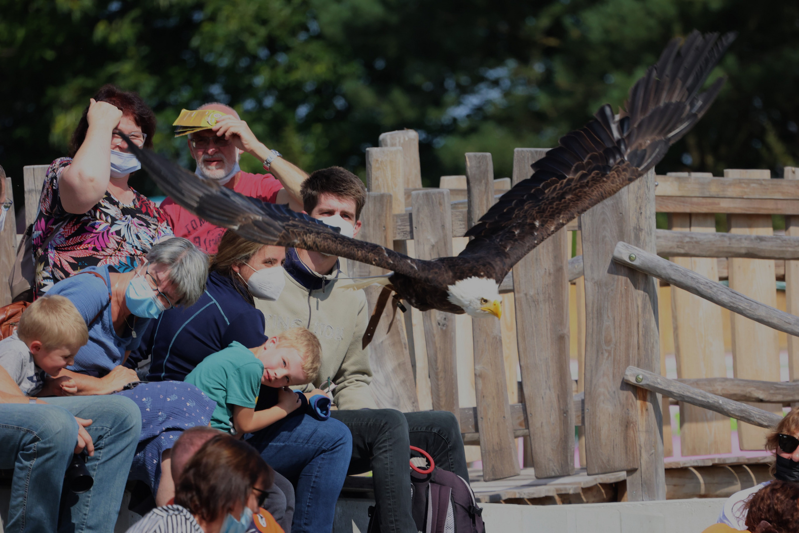 Deckung......Adler fliegt über uns