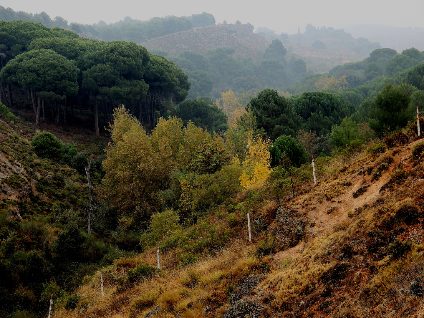 Declaración de amor en otoño