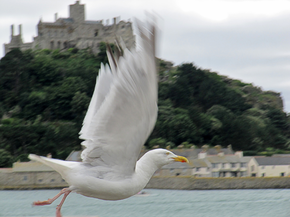 Decollo a St. Michael's Mount