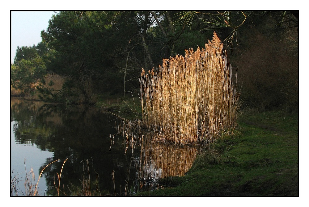 " Décoration d'automne "