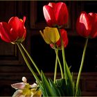 Décoration florale avec les tulipes du jardin en début de printemps
