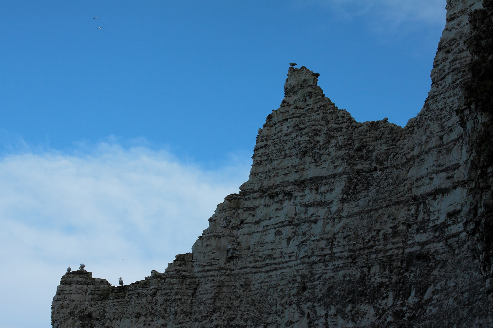 découpe de la falaise